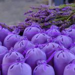 Provence : Digne-les-Bains : un mois d'août aux couleurs de la lavande