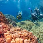 Le top 10 des plus belles plongÃ©es du monde
