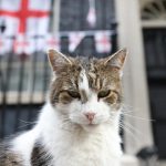 Larry, le chat du 10 Downing Street, lui vole la vedette avec cette vidÃ©o