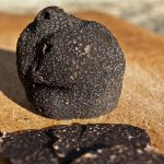 Côte d'Or : Partir sur la Route de la Truffe en Bourgogne