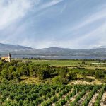 Occitanie : Côte du Midi : visiter les domaines des Vignerons de Garde le week-end