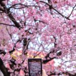 Voici pourquoi le printemps tombe désormais le 20 mars, et non le 21