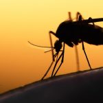 ces endroits du monde où vous risquez de l'attraper cet été