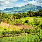 Martinique : La Montagne Pelée et les pitons du nord inscrits à l'UNESCO