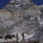 2024 sera-t-elle l’année pour voyager en Chine ?