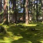 Japon : De Tokyo à la région d'Hokuriku, un voyage à travers le temps