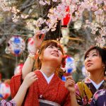 Vous voulez voir les cerisiers au Japon ? On sait (enfin) quand commence la floraison en 2024