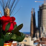 Pourquoi Barcelone se couvre de roses (et de livres) le 23 avril?