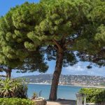 Juan-les-Pins, au pays du swing et du farniente
