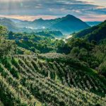 des paysages uniques au monde