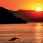 Vacances : Les parcs nationaux du Canada : la nature en majesté