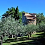 En Haute-Provence, sur les chemins de l'huile d'olive