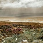 Voyage dans le Northumberland, l’Angleterre des confins