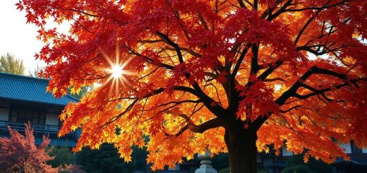 japon-automne-momiji