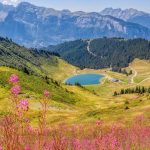 Que faire une fois qu’on a vu les marmottes ? Clocher, fête de village, pass activités...Comment la ...