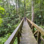 En Dominique, randonnée sur le Waitukubuli Trail, le GR20 des Caraïbes