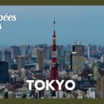 Japon : Tokyo, ville énergique et dynamique de jour comme de nuit - Échappées belles