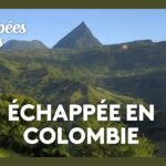 Colombie, une nature luxuriante - Échappées belles