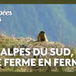 Échappées belles - Alpes du Sud, Méditerranée, de ferme en ferme